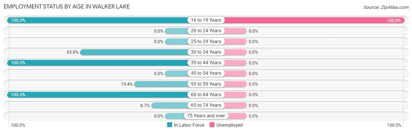 Employment Status by Age in Walker Lake
