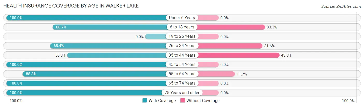 Health Insurance Coverage by Age in Walker Lake