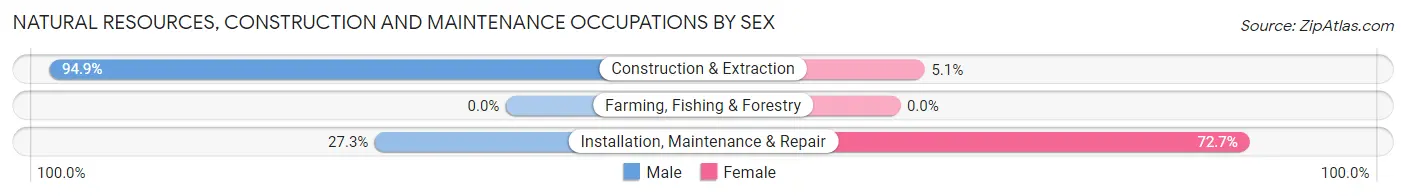 Natural Resources, Construction and Maintenance Occupations by Sex in Washoe Valley