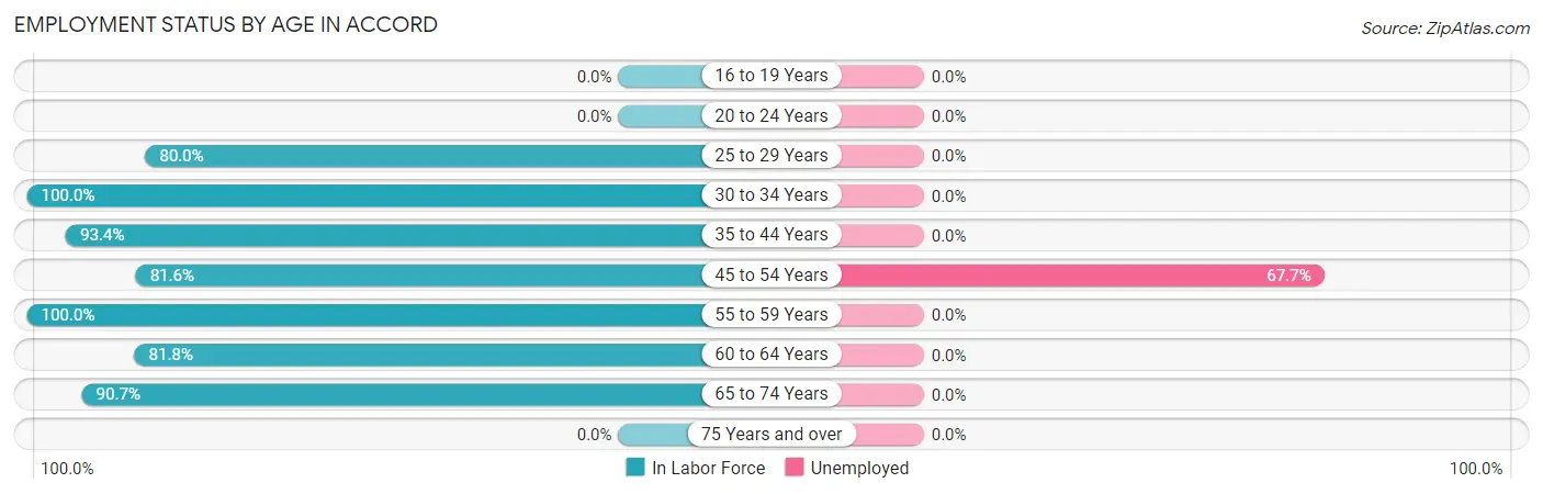 Employment Status by Age in Accord