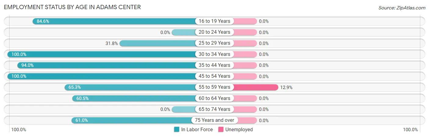 Employment Status by Age in Adams Center