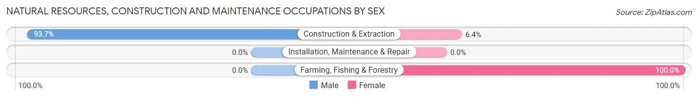 Natural Resources, Construction and Maintenance Occupations by Sex in Alfred