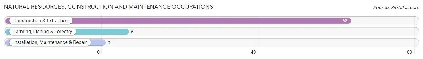 Natural Resources, Construction and Maintenance Occupations in Alfred