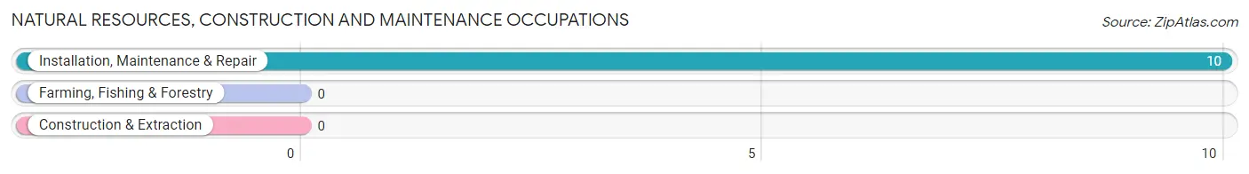 Natural Resources, Construction and Maintenance Occupations in Altona