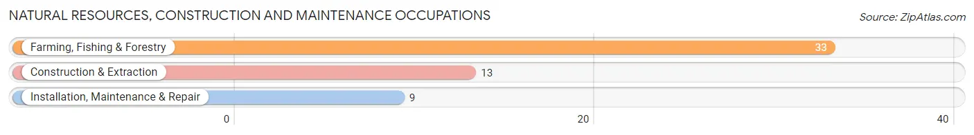 Natural Resources, Construction and Maintenance Occupations in Amagansett