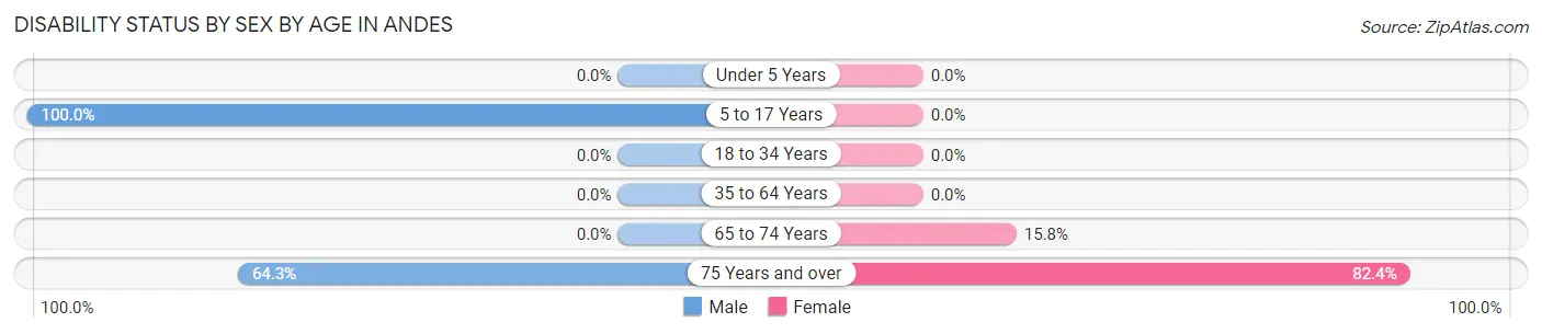 Disability Status by Sex by Age in Andes