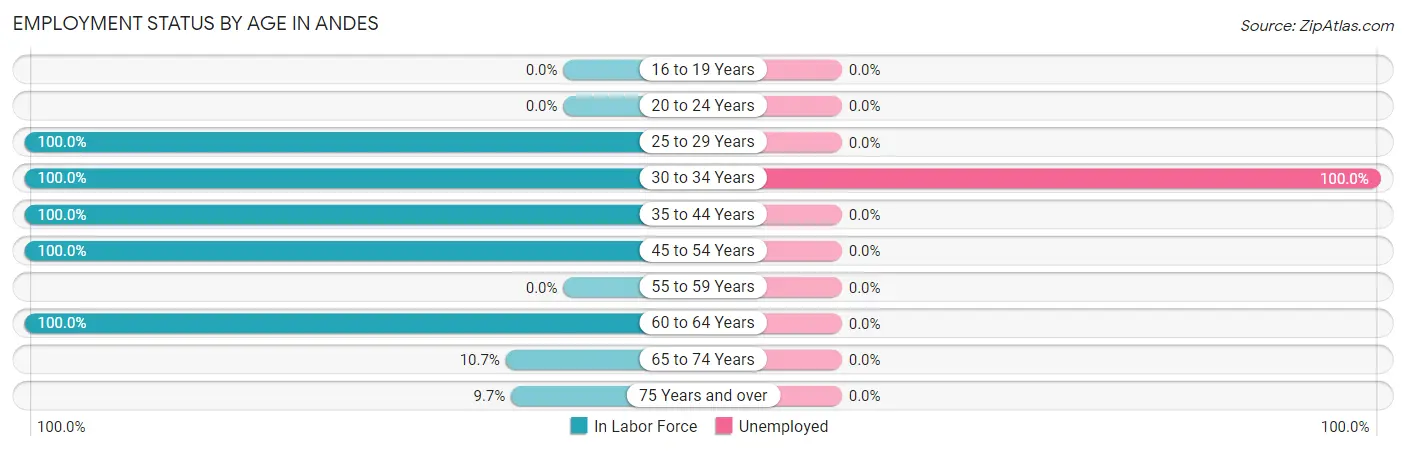 Employment Status by Age in Andes