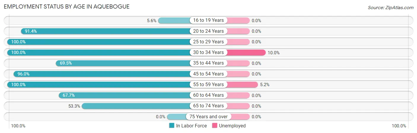 Employment Status by Age in Aquebogue