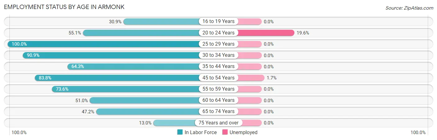 Employment Status by Age in Armonk