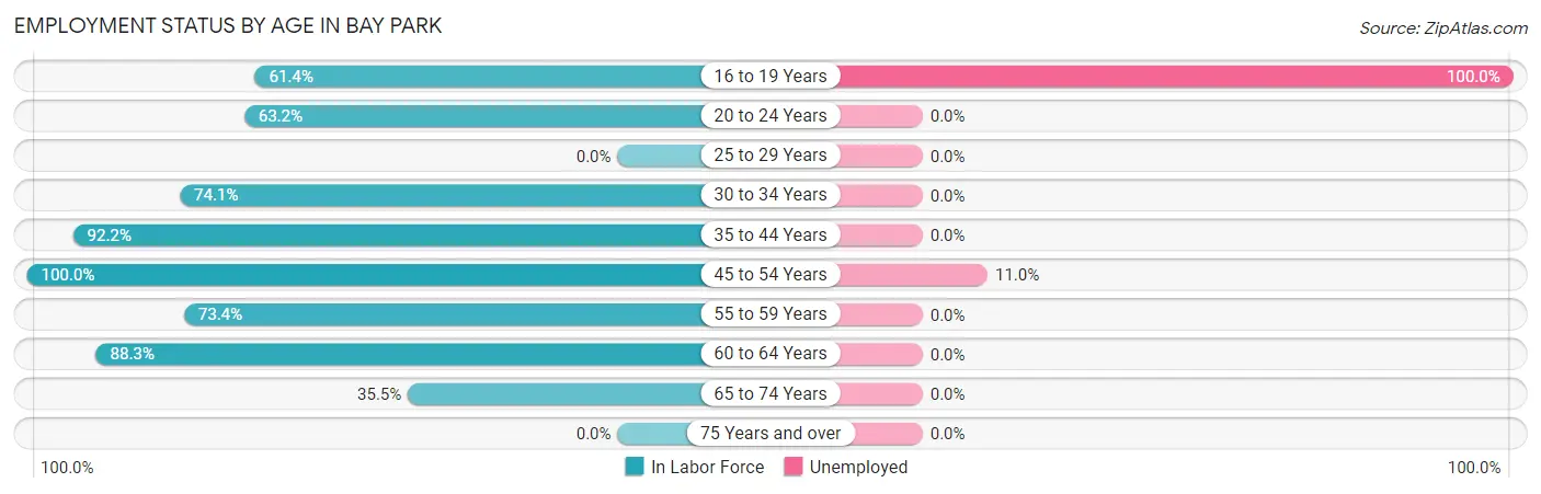 Employment Status by Age in Bay Park