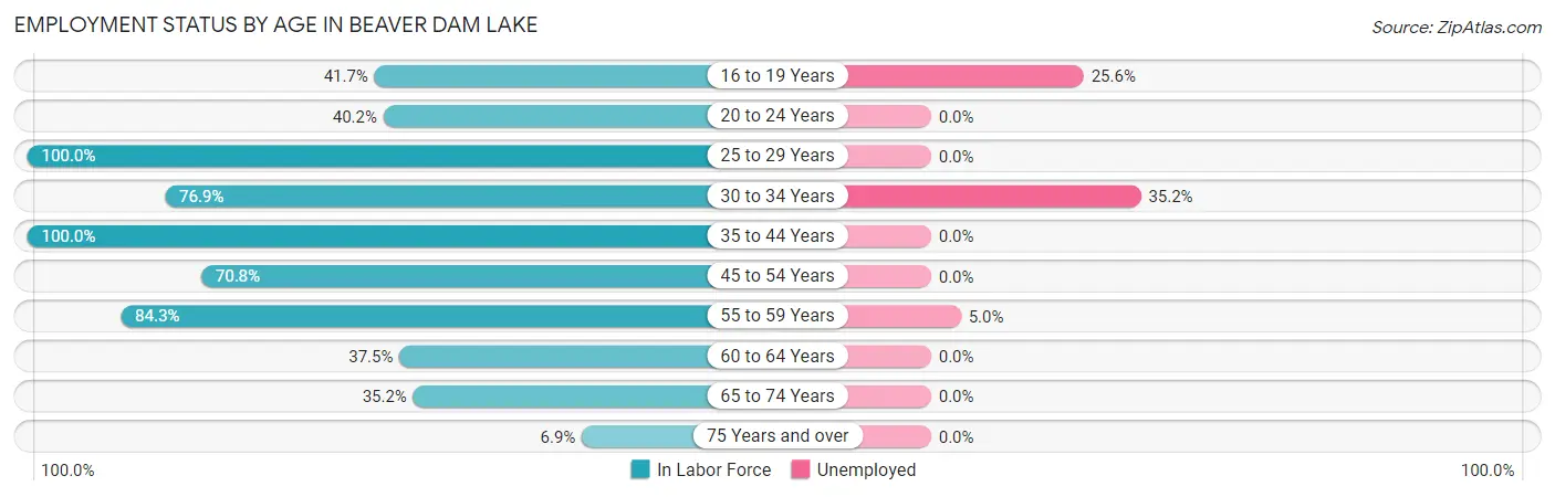 Employment Status by Age in Beaver Dam Lake