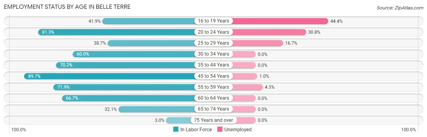 Employment Status by Age in Belle Terre