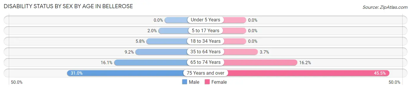 Disability Status by Sex by Age in Bellerose