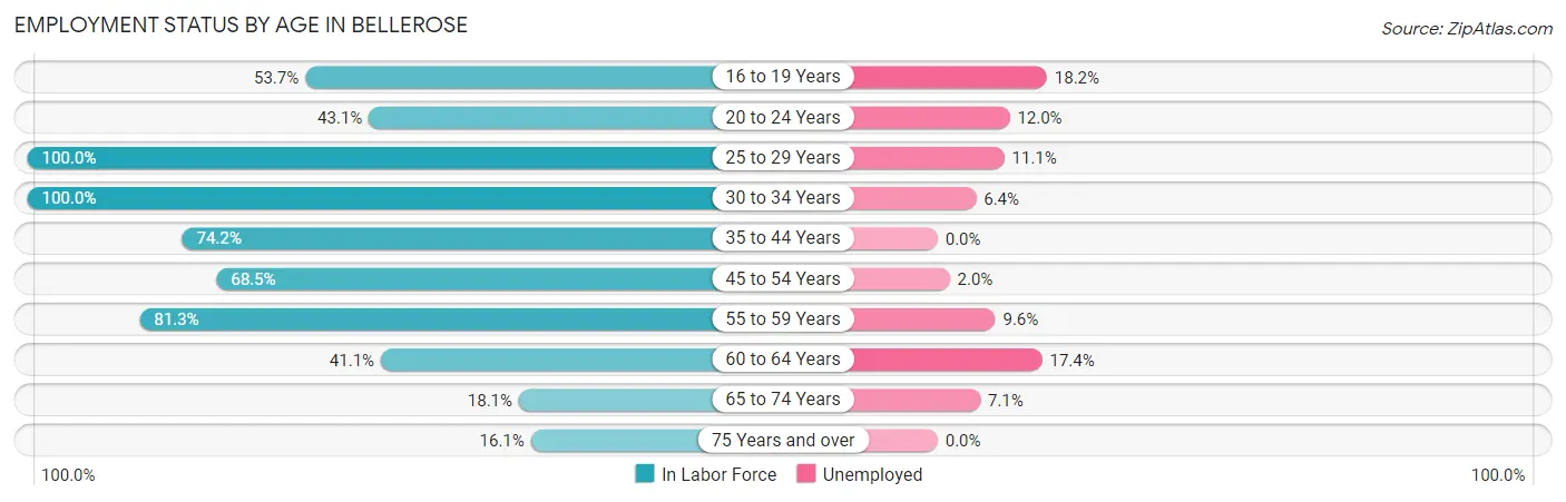 Employment Status by Age in Bellerose