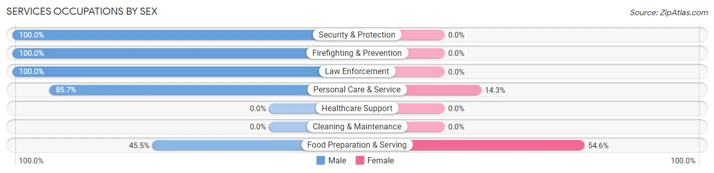 Services Occupations by Sex in Bellerose