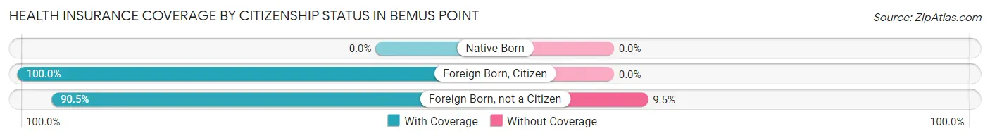 Health Insurance Coverage by Citizenship Status in Bemus Point