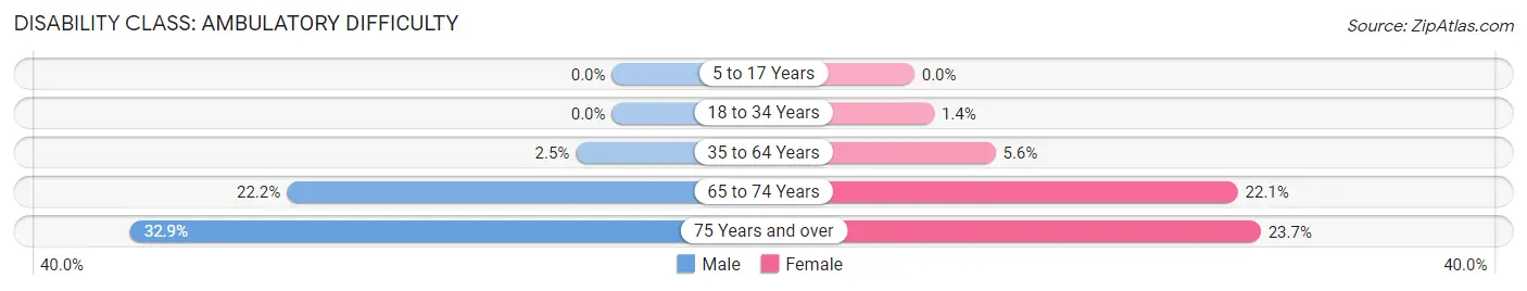 Disability in Bethpage: <span>Ambulatory Difficulty</span>