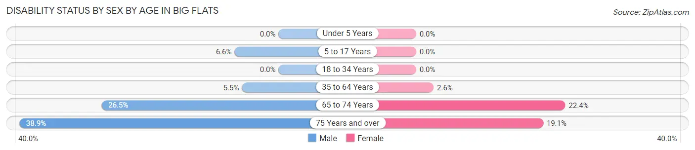 Disability Status by Sex by Age in Big Flats