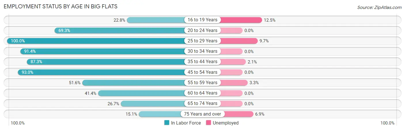 Employment Status by Age in Big Flats