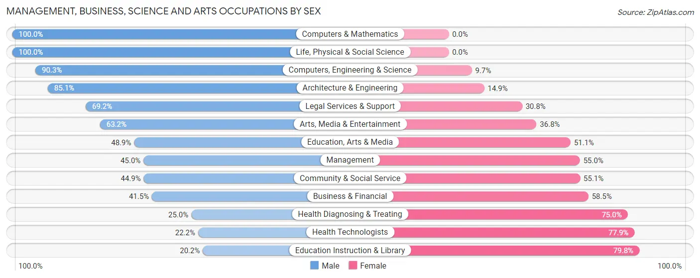 Management, Business, Science and Arts Occupations by Sex in Big Flats
