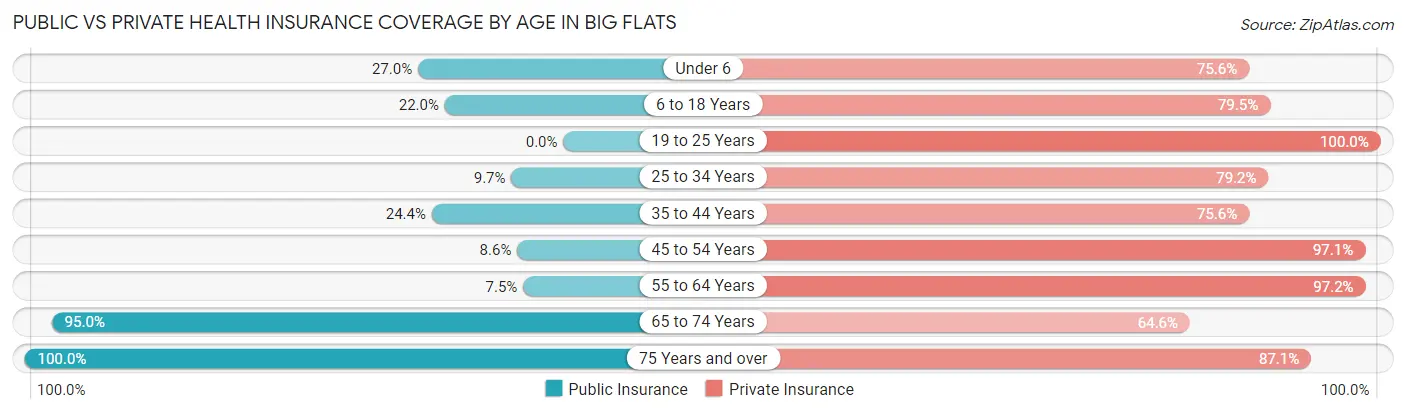 Public vs Private Health Insurance Coverage by Age in Big Flats