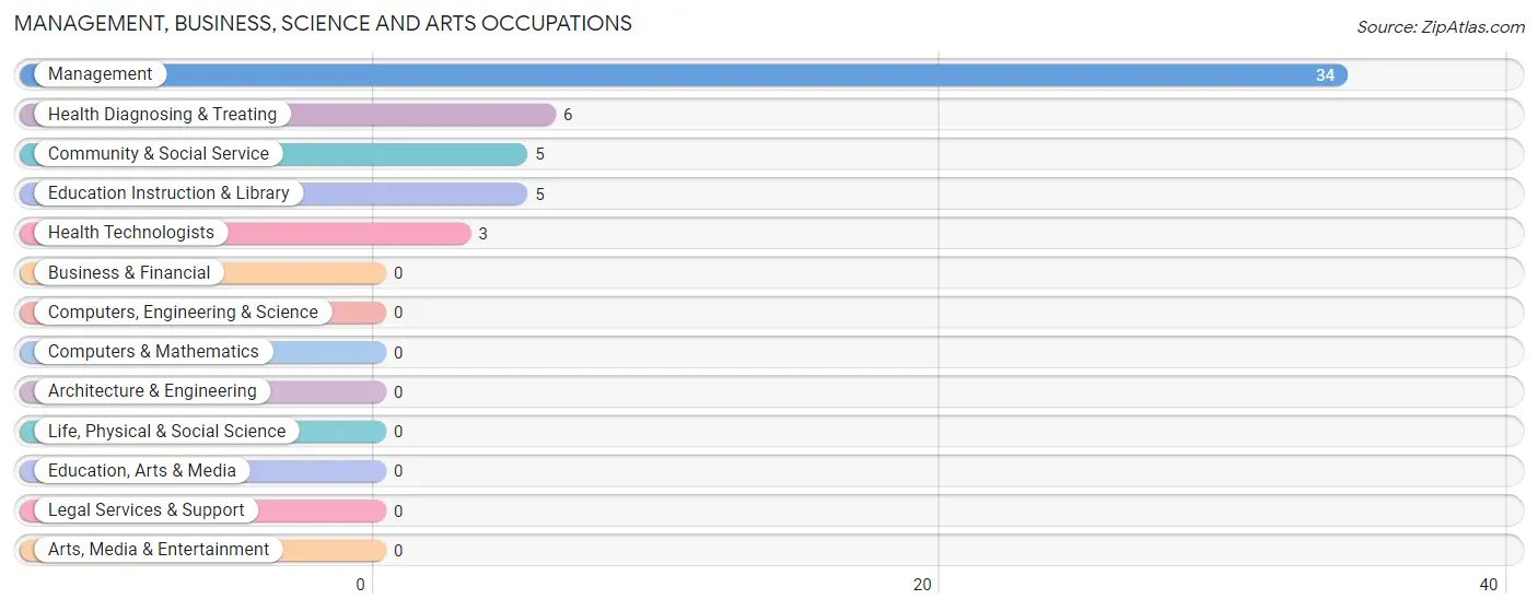 Management, Business, Science and Arts Occupations in Bliss