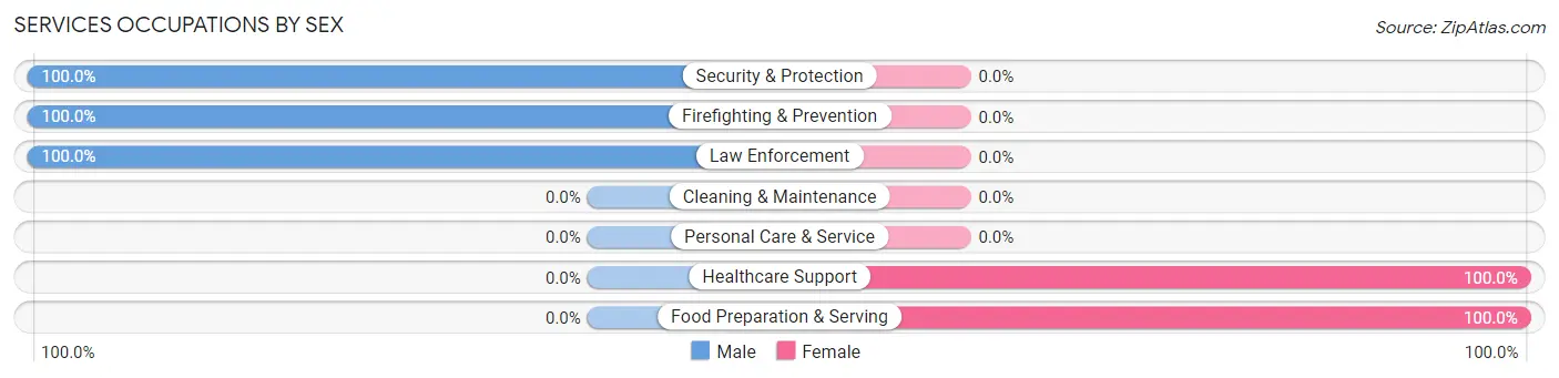 Services Occupations by Sex in Blodgett Mills