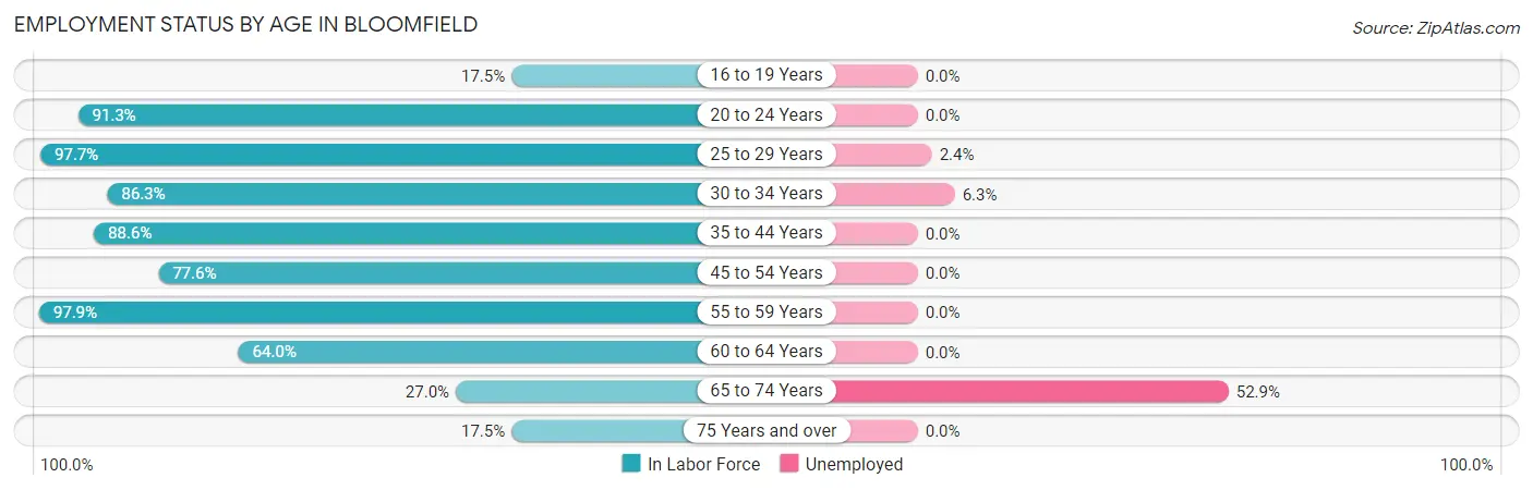 Employment Status by Age in Bloomfield