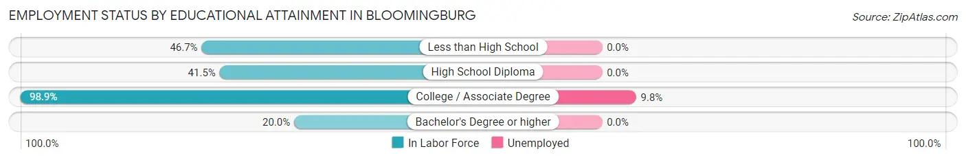 Employment Status by Educational Attainment in Bloomingburg