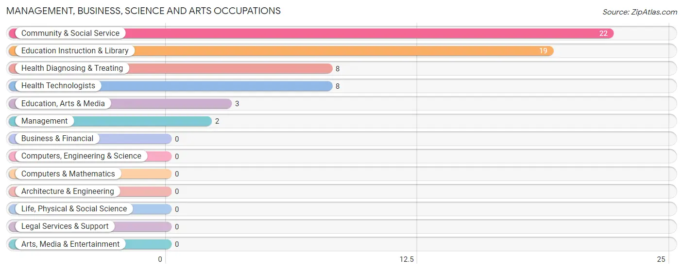 Management, Business, Science and Arts Occupations in Bloomville