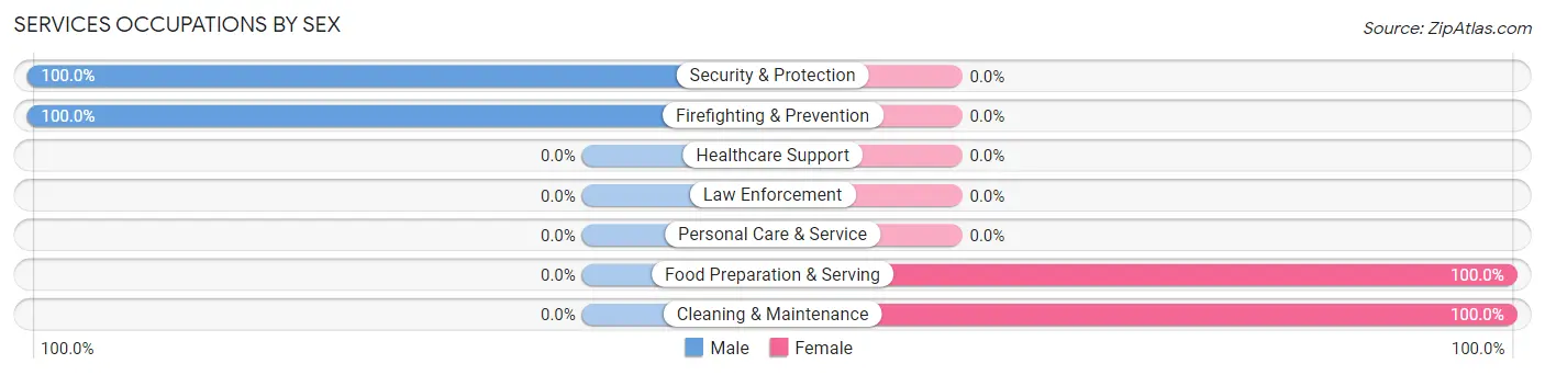 Services Occupations by Sex in Bloomville