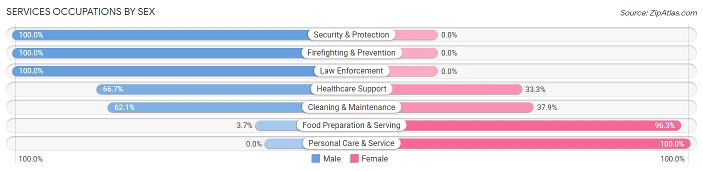 Services Occupations by Sex in Bolivar