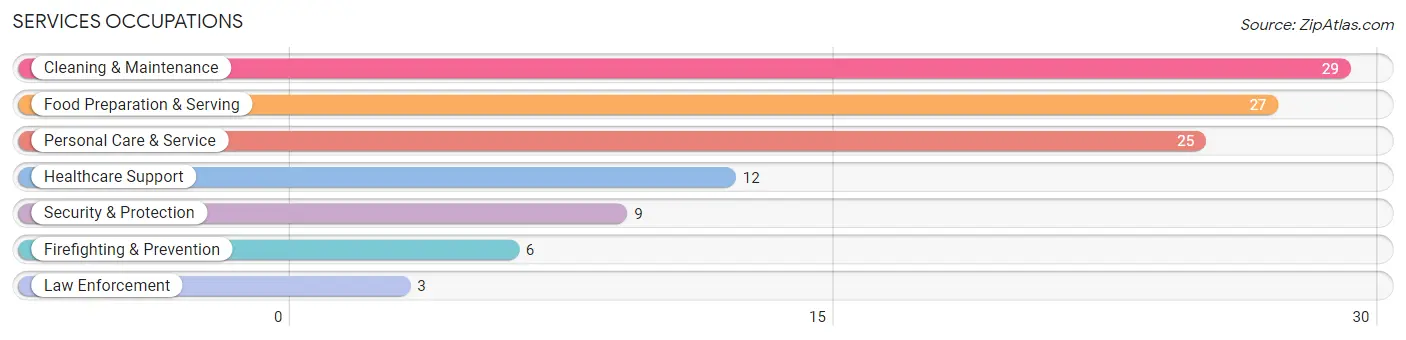 Services Occupations in Bolivar