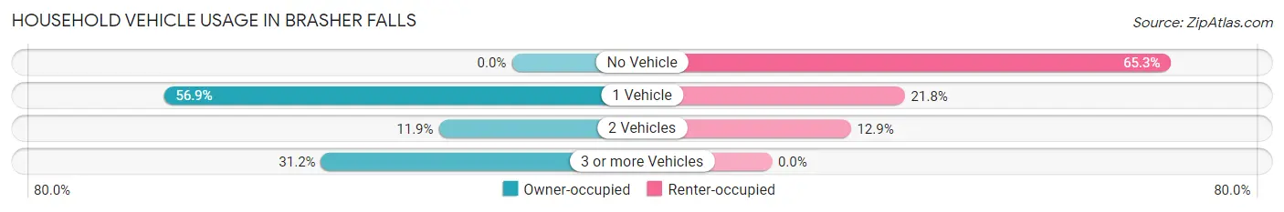 Household Vehicle Usage in Brasher Falls