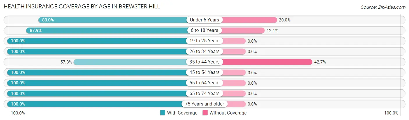 Health Insurance Coverage by Age in Brewster Hill