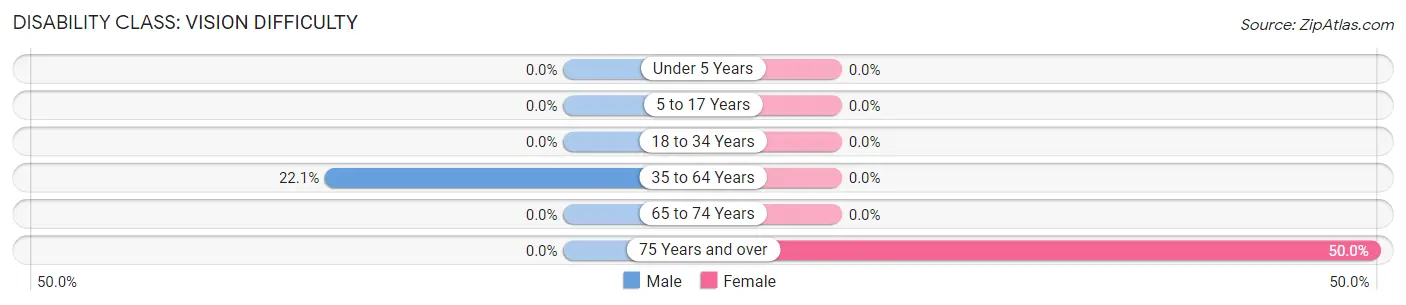 Disability in Bridgewater: <span>Vision Difficulty</span>