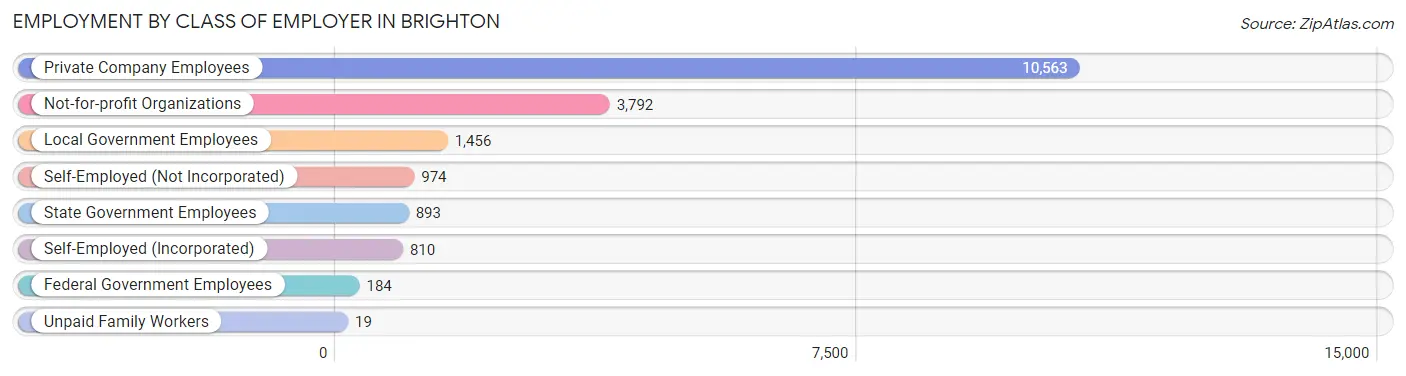 Employment by Class of Employer in Brighton