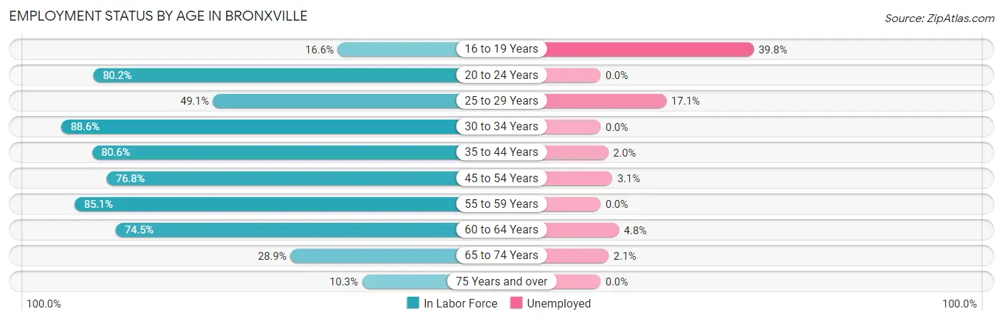Employment Status by Age in Bronxville