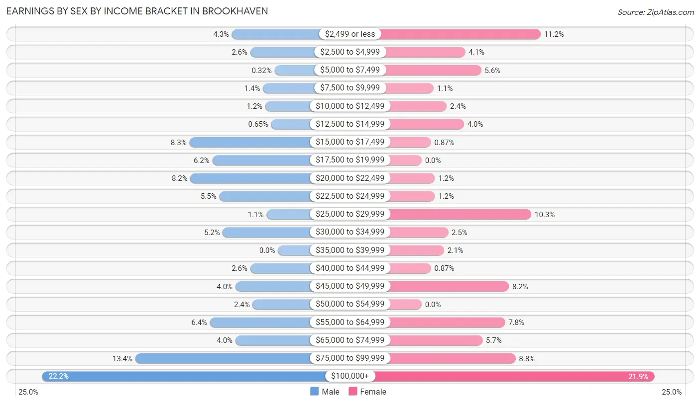 Earnings by Sex by Income Bracket in Brookhaven