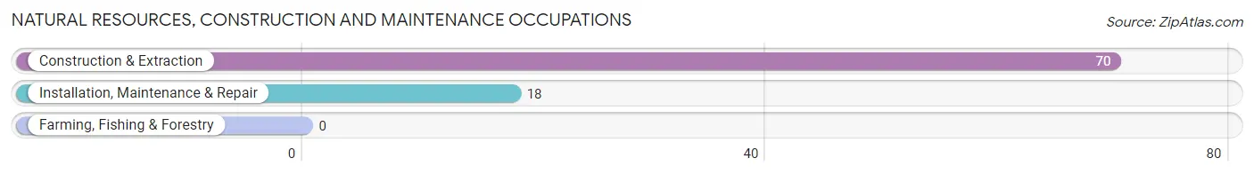 Natural Resources, Construction and Maintenance Occupations in Brookhaven