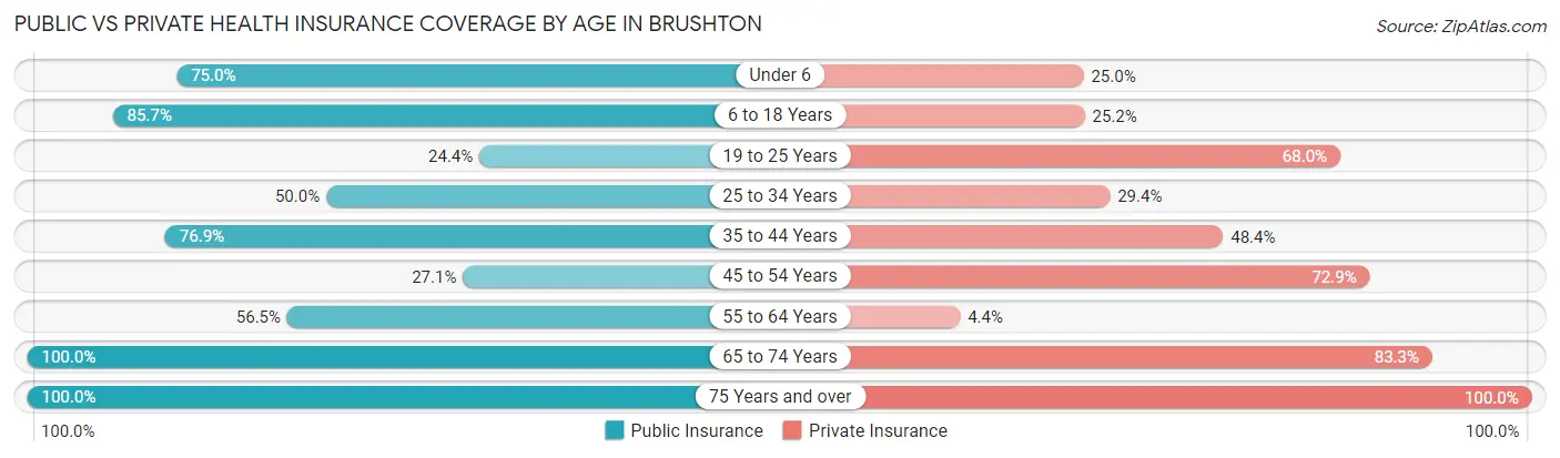 Public vs Private Health Insurance Coverage by Age in Brushton