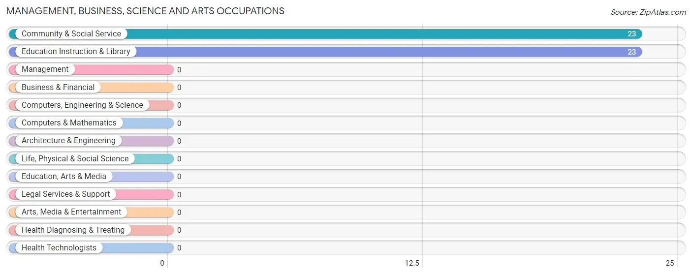 Management, Business, Science and Arts Occupations in Busti