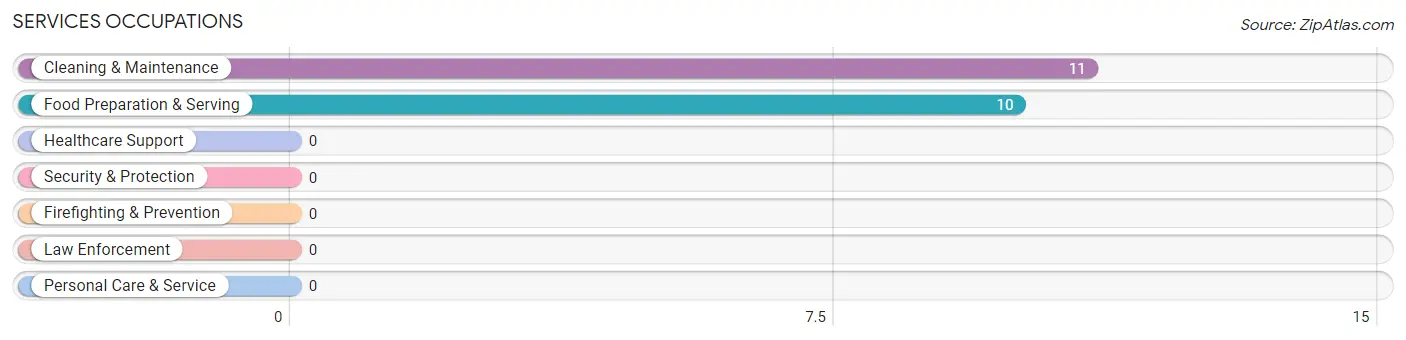 Services Occupations in Busti