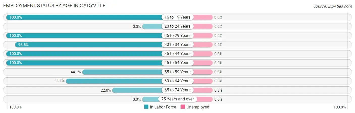 Employment Status by Age in Cadyville
