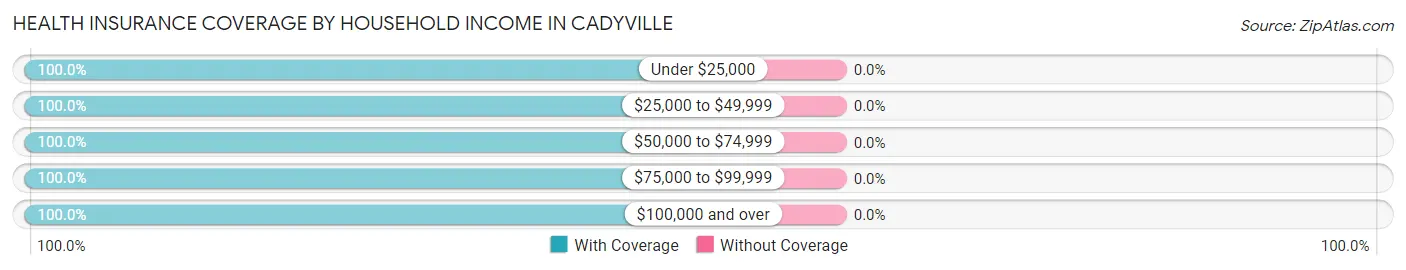 Health Insurance Coverage by Household Income in Cadyville