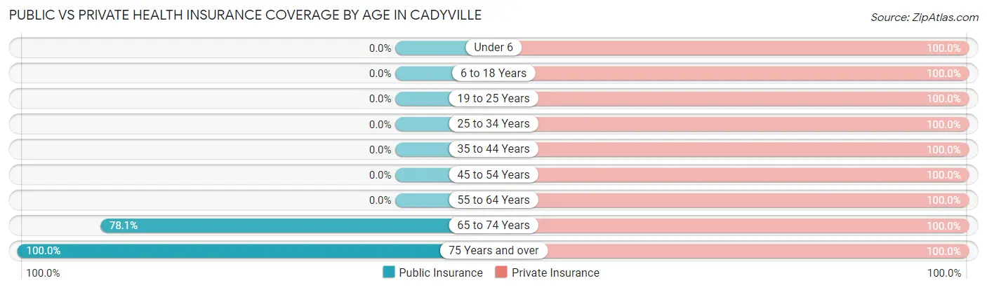Public vs Private Health Insurance Coverage by Age in Cadyville