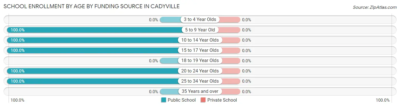 School Enrollment by Age by Funding Source in Cadyville
