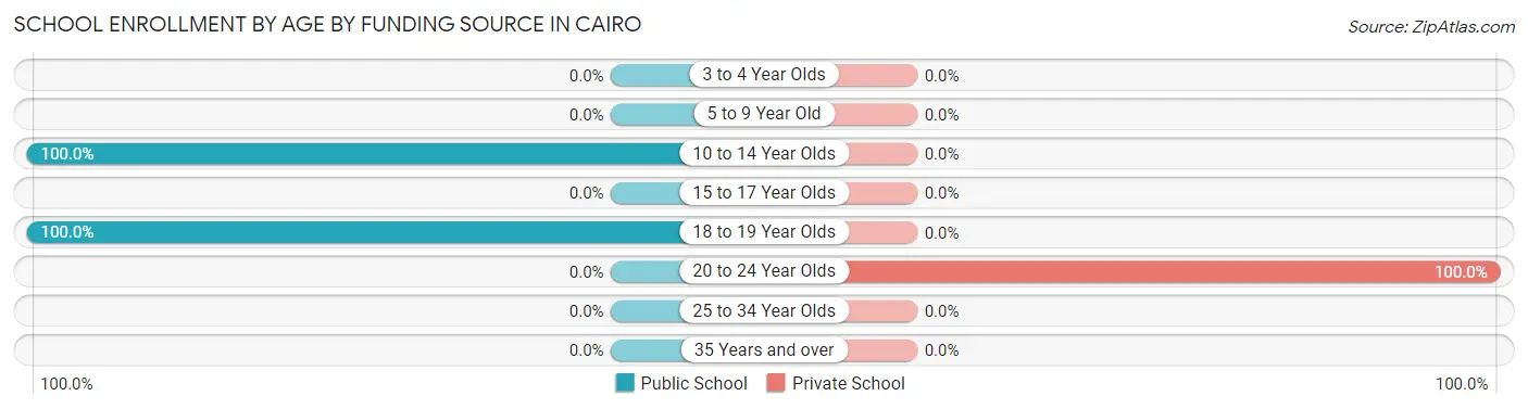 School Enrollment by Age by Funding Source in Cairo