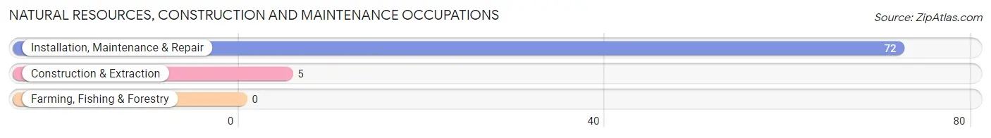 Natural Resources, Construction and Maintenance Occupations in Cambridge