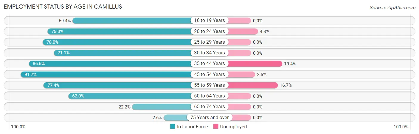 Employment Status by Age in Camillus